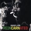 CD SNOOP LION - Reincarnated 88765455462 Berhane Sound S 2013 США Регги, Ска и Даб Б/У