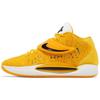 KD 14 TB Yellow Men Sneakers DM5040-702