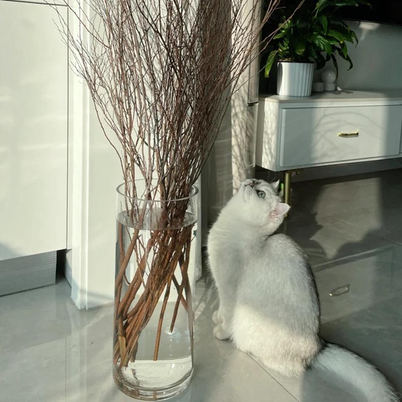 Высокая стеклянная цилиндрическая напольная ваза - Украшение для гостиной, Очень большая, Высоты: 40см, 50см, 60см, 80см