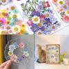 1Bag Dried Flowers UV Resin Filling  DIY Epoxy Resin Mold Pendant Jewelry Decorative Natural Pressed Flower Art Floral Decors XYZ