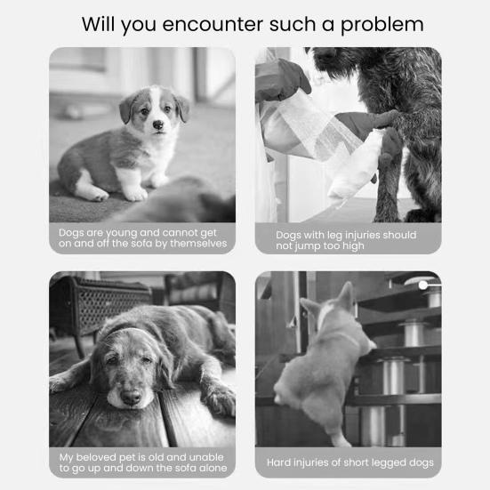 Лестница для маленьких собак, изогнутые ступеньки для собак, комнатная рампа для щенков и пожилых питомцев, моющаяся