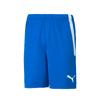 Puma Teamliga Shorts 70492402 Shorts