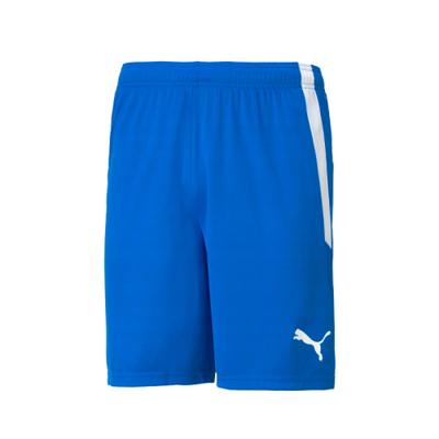 Puma Шорты Teamliga 70492402 Шорты