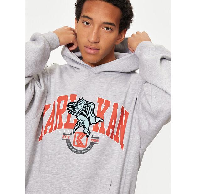 Толстовка Karl Kani Eagle Print