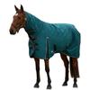 Weatherbeeta Comfitec Classic Combo Neck 220g Horse Turnout Rug