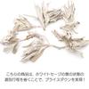 GOLD STONE White Sage Cluster with Branches, Unsorted, 50g, Pesticide-Free, California White Sage