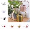 Comfortable Long Spout Watering Can Rustproof Leakproof Watering Pot Creative Watering Can Plants