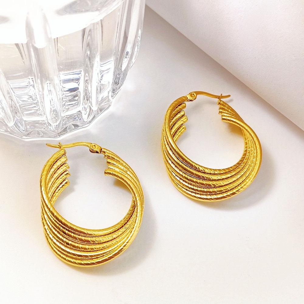 Geometric Personality Design Ring Earrings Niche Exaggeration Titanium Steel Earrings Women's Cold Wind Versatile