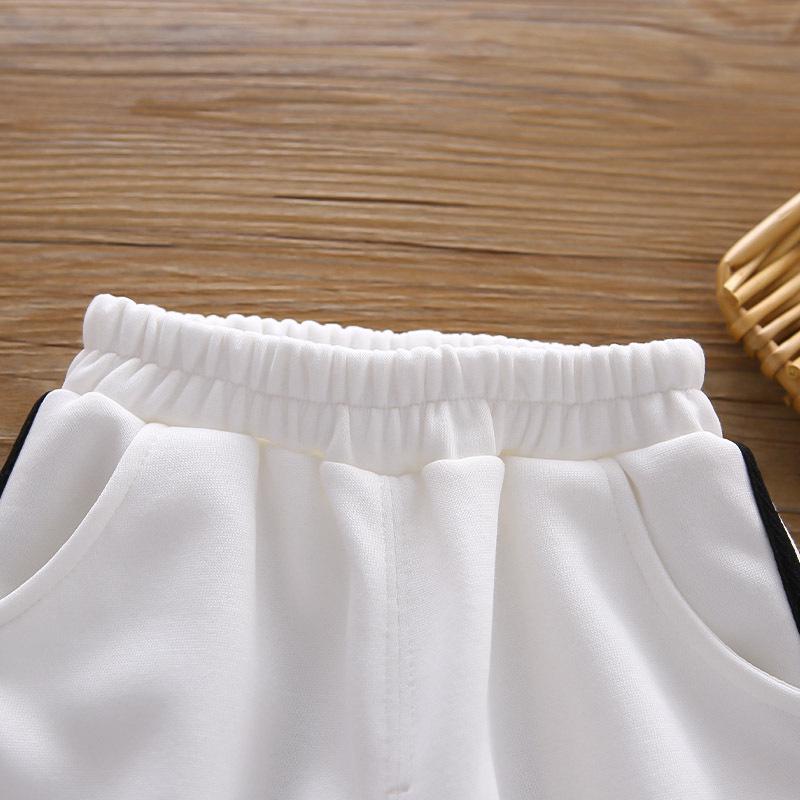 Boys' Trendy Two-Piece Autumn Set: Long Sleeve, Stand-up Collar, Zip-Up Pullover