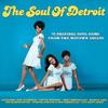 CD VARIOUS - The Soul Of Detroit NOT3CD090 Not Now Music 2013 UK Soul/Funk Used