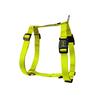 Leisure H-shaped Chest and Back Anti Slip Small Medium and Large Dog Outdoor Vest Style Pet Dog Strap Walking Portable Accessories Adjustable Vest