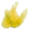 140 Yellow Rooster Feathers 10 Cm