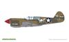 Eduard 1/48 Dual Combo P-40E Pacific Star Limited Edition Plastic Model Kit EDU11185 (Airplane)