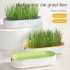 Grow Germination Cat Grass Box Hydroponic Cultivation Grow Box New Growing Pot Sprout Dish
