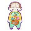 Игра-головоломка «Внутренние органы человека», обучающая структура человеческого тела, анатомическая головоломка, детская игрушка для малышей из дерева, обучающая игра STEM