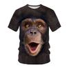 Summer Short Sleeved T-shirt for Men 3D Digital Printed Animal Monkey Round Neck Loose Men Fat Half Sleeve Bottom Shirt Summer