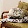 Super Soft Cat Plush Toy Lifelike Simulation Cat Pillow Kawaii Pallas Cat Toy  Children Gifts