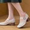 Fashion Elegant Medium Heel Women's Shoes Summer Autumn Fashion Buckle Strap Vintage Hollow Sandals Comfortable Non Slip Mary Jane Shoes