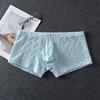 Мужское белье Ультратонкое Кружевное Прозрачное Кружевное белье Низкая посадка Молодежные Боксеры Трусы с кармашком Sissy Прозрачный Бикини Слип Мужской
