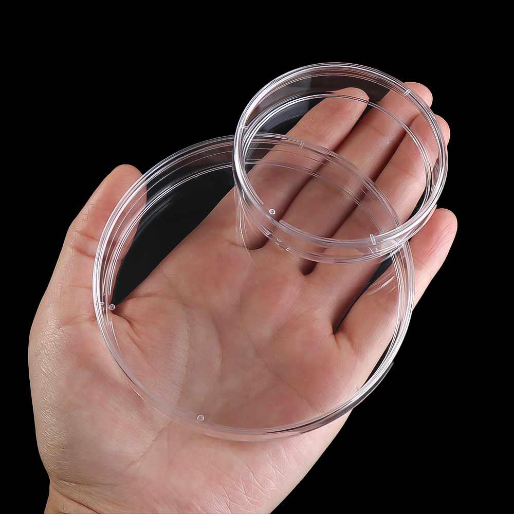 55x15mm 90x15mm Clear Petri Dish Sterile Petri Dishes Petri Dishes Bacteria Culture Dish