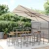 VidaXL Garden Bar Set 11pcs Grey Poly Rattan/solid Acacia Wood, Bar Table Set, Pub Set, Set 3187683