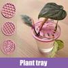 Поднос для растений Легкий поднос для размножения растений с решеткой для листьев Шестиугольный дизайн Садовый инструмент для размножения