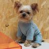 Korean-Style Autumn/Winter Four-Legged Pet Shirt for Small Dogs