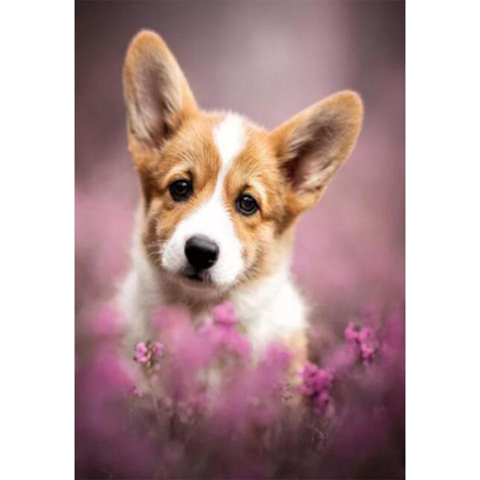 5D DIY алмазная живопись животное собака набор для вышивки крестом полная Алмазная вышивка горный хрусталь подарок украшение дома мозаика художественная картина