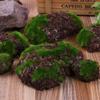 6pcs Artificial Plants Fake Rock Foam Sawdust Moss Stone Home Garden Decoration Chip Micro Landscap Grass Pet Toy Fake Greenery