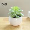 Пластиковые искусственные сочные анти-выцветания красивые маленькие поддельные растения в горшках настольные украшения