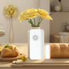 Open Closed Detection Zigbee Door Window Detector Smart Home Security Alarm System  Apartment