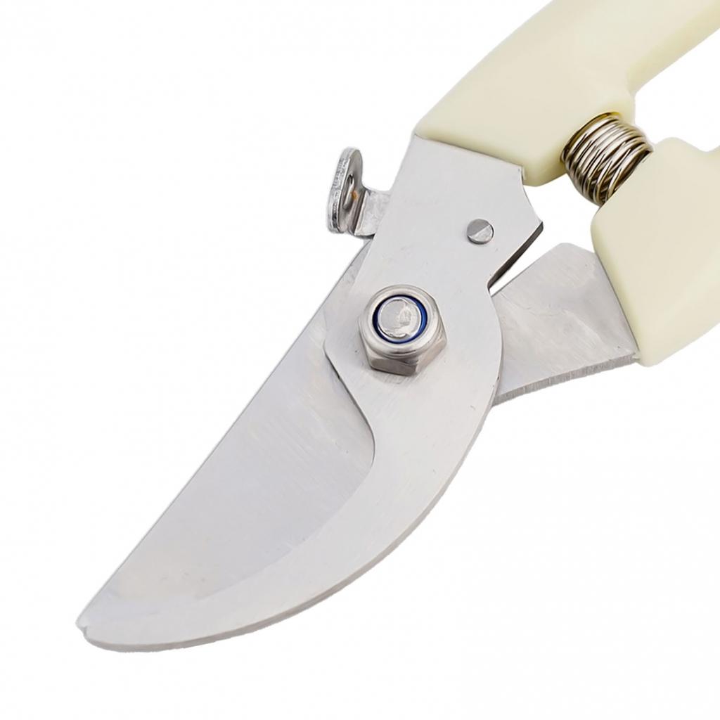 Pruners Stainless Steel Garden Shears Easy To Clean