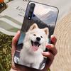 Чехол для Huawei Nova 5T Волк Мультяшный Силиконовый Мягкий ТПУ Задняя Крышка Для Чехлов для Телефона Huawei Nova 5T Nova5T YAL-L21 Fundas Coque