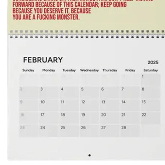 Настенный календарь 2025 года Ваш потрясающий мотивирующий календарь Ежемесячный органайзер Ежедневная вдохновляющая заметка о планировании