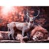 5D DIY Diamond Animal Lion&deer Diamond Embroidery Cross Stitch Mosaic Rhinestone Home Decor Gift