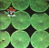 Виниловая пластинка WAIKIKIS A Taste Of Hawaii NPL28081 Pye Internation 1966 UK Джаз Б/у