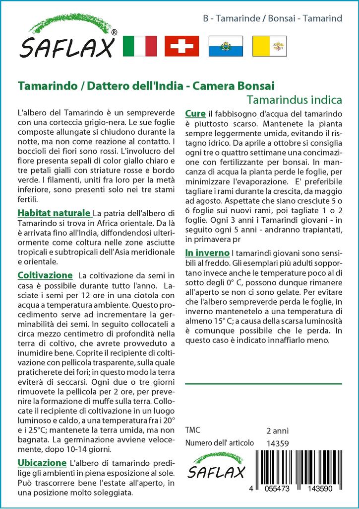 SAFLAX Garden in the Bag - Бонсай - Тамаринд - 4 семени - С субстратом в подходящем пакете-стойке - Tamarindus indica
