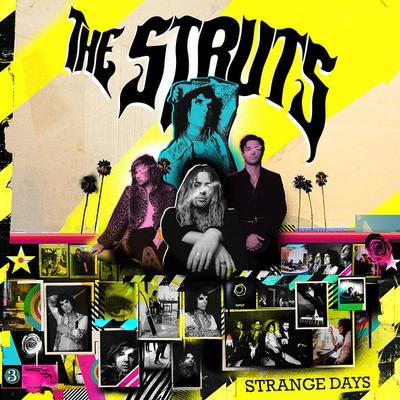 CD STRUTS  Strange Days UICY15952 Interscope Reco 2020 Япония Рок Б/у