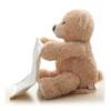 Funny Peek A Boo Teddy Bear Plush Blanket For Kids Perfect For Giggles And Playtime