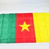 Национальный флаг Камеруна 90*150см 3x5 Футов для митинга Парада вечеринки Вывешивание Домашнее украшение баннер