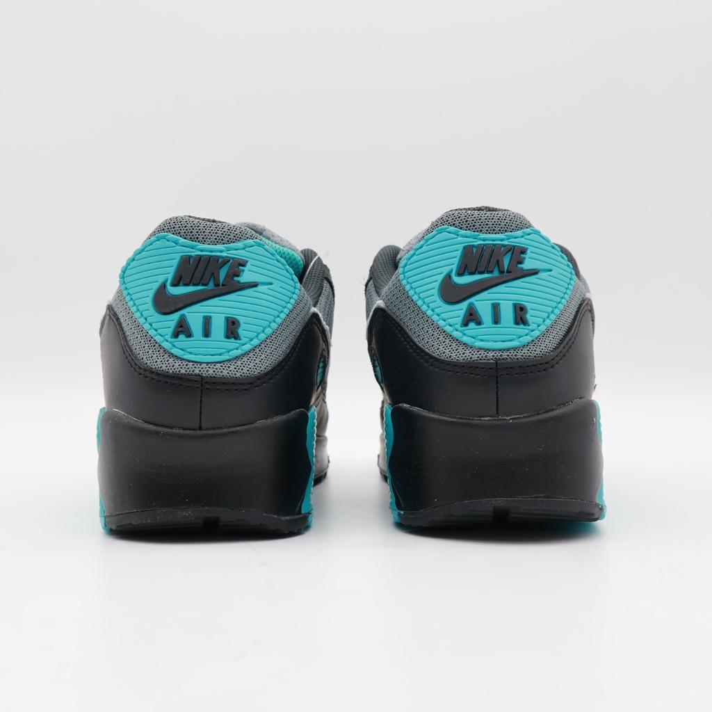 DM0029-013 Nike Air Max 90 Cool Grey Wolf Grey Dusty Cactus (Мужской)