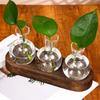 With Wooden Tray Hydroponics Glass Vase Transparent Glass Planter Bulb Vase  Decorating