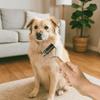 Wooden Handle Dog Shedding Comb Professional Cat Hair Cleaning Combs Pet Fur Trimmer  Cleaning