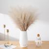 10 шт. искусственная пампасная трава Декор Цветочная композиция Художественная ваза Наполнитель Искусственная помпезная трава Свадебная вечеринка Сцена Композиция Бохо Стиль Украшение дома