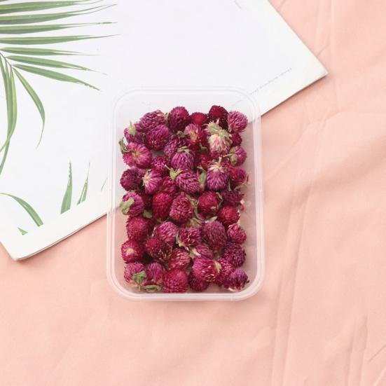 Набор сушеных цветов, настоящие натуральные цветы, сушеные цветы, сделай сам, вечные цветы, материал для ювелирных изделий ручной работы, поделки для ногтей