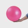 Мяч для пилатеса и йоги 25 см - ПВХ балансировка фитнес и гимнастика аксессуар для тренировок детей