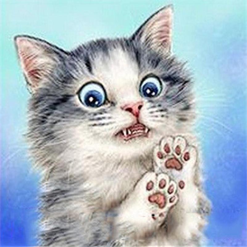 Полная дрель круглая/квадратная алмазная живопись кошка 5D DIY Алмазная вышивка животное мозаика вышивка крестиком настенное искусство подарок ручной работы