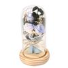 Valentines Rose Birthday Gifts For Women, Artificial Flower Light Up Rose In Glass Cover Decorative Gift For Wife Mom Best Friend Girlfriend Grandma