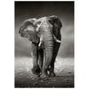 Дикая природа, слон, семейные постеры, холст, картина, животное, отец, мать, ребенок, любовь, настенная живопись для современной комнаты