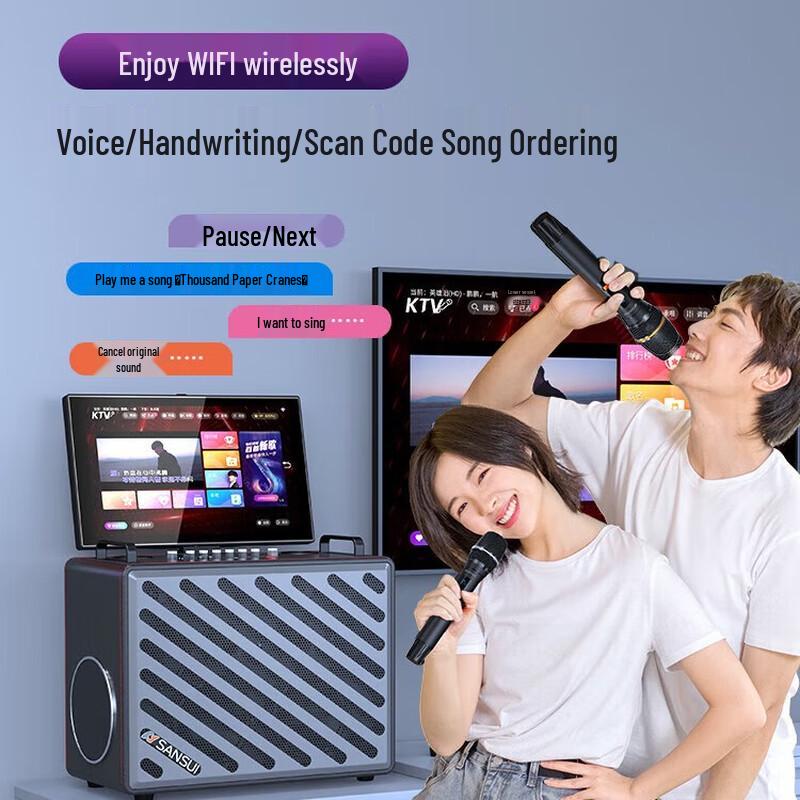 SANSUI C3 All-in-One Professional KTV Karaoke Speaker System